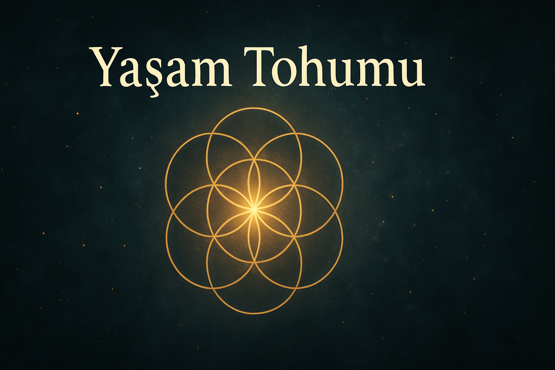 Yaşam Tohumu Nedir ?