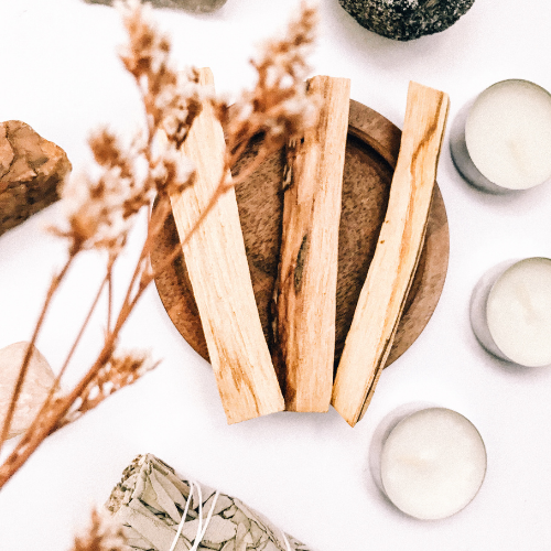 Palo Santo Nedir? Nasıl Kullanılır? Ne İşe Yarar?