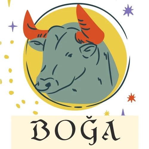 BOĞA BURÇLARI