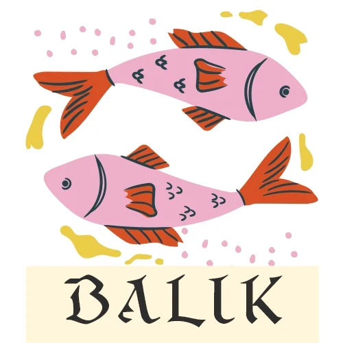BALIK BURÇLARI