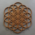 Mandala DÖNÜŞÜM SETİ