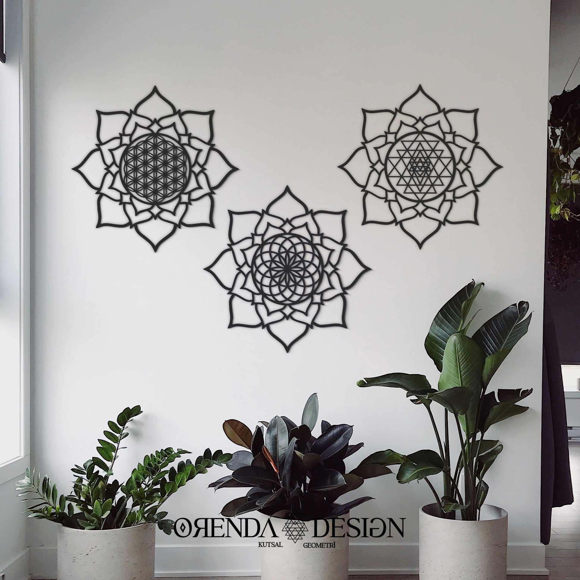 PETAL Transformation set (Wood) Black