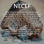 Necef Natural Stone Bracelet (Mental Focus and Balance)