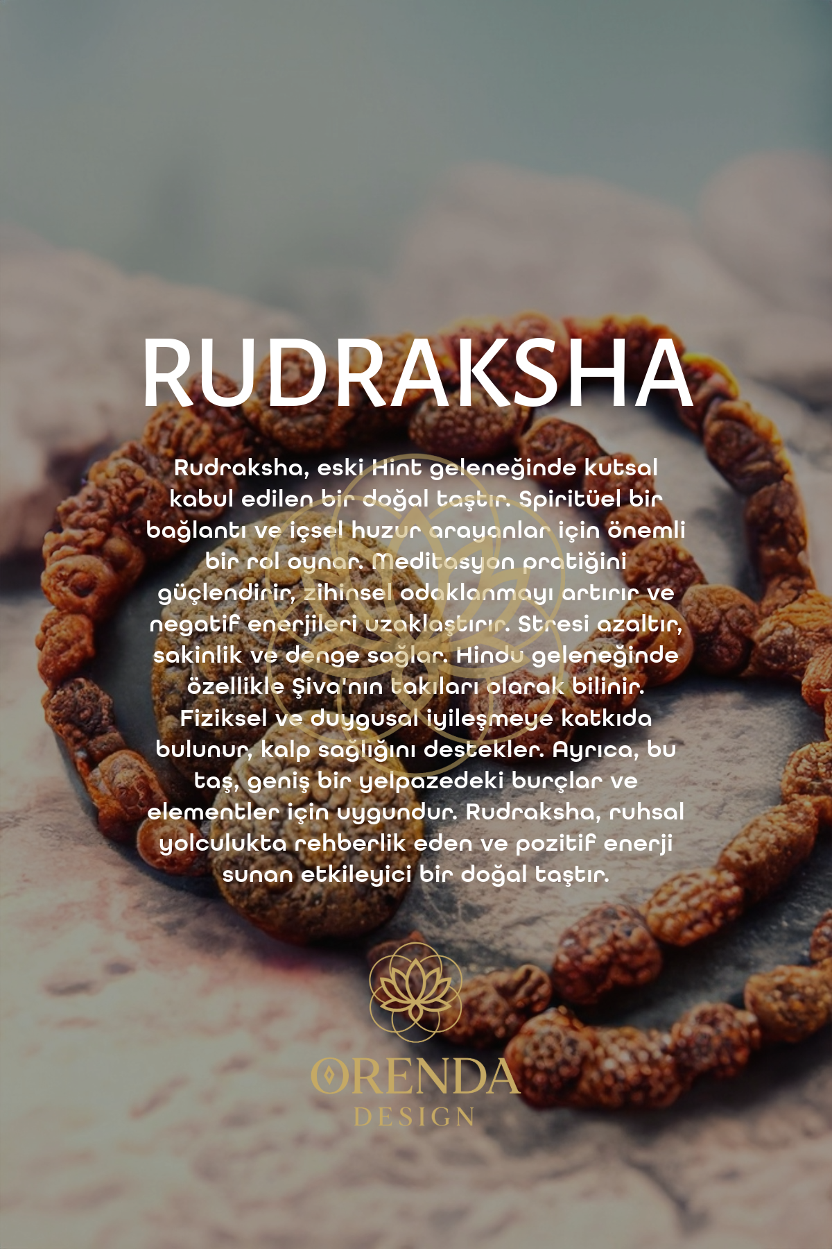 Rudraksha Natural Stone Bracelet (Key to Mental Balance)